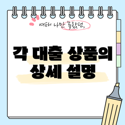 각 대출 상품의 상세 설명