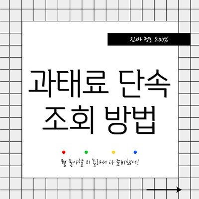 과태료 단속 조회 방법