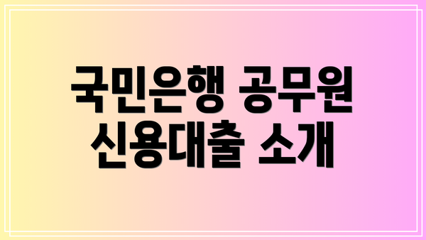 국민은행 공무원 신용대출 소개