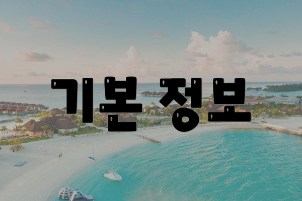 기본 정보
