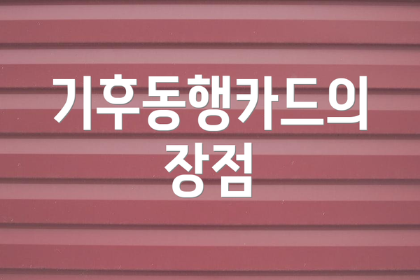기후동행카드의 장점