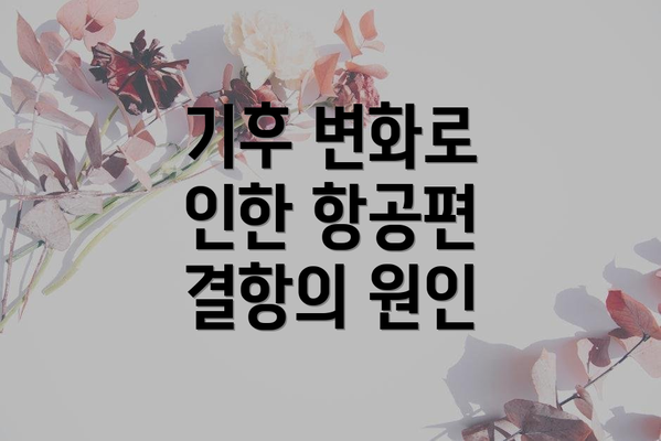 기후 변화로 인한 항공편 결항의 원인