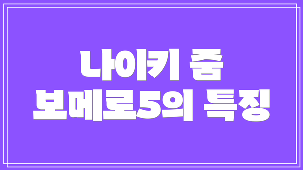 나이키 줌 보메로5의 특징