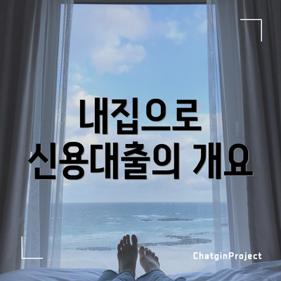 내집으로 신용대출의 개요