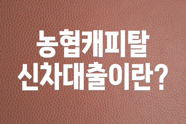 농협캐피탈 신차대출이란?