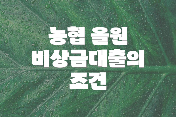 농협 올원 비상금대출의 조건