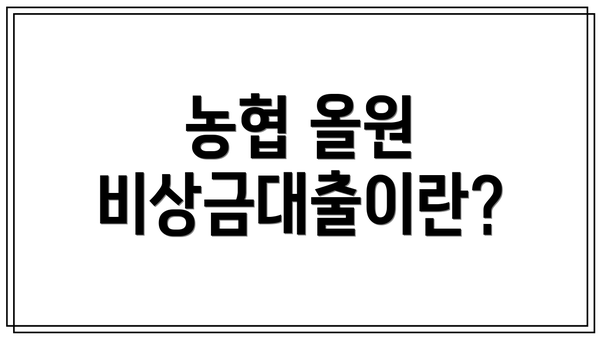 농협 올원 비상금대출이란?