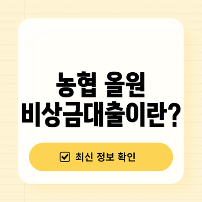 농협 올원 비상금대출이란?