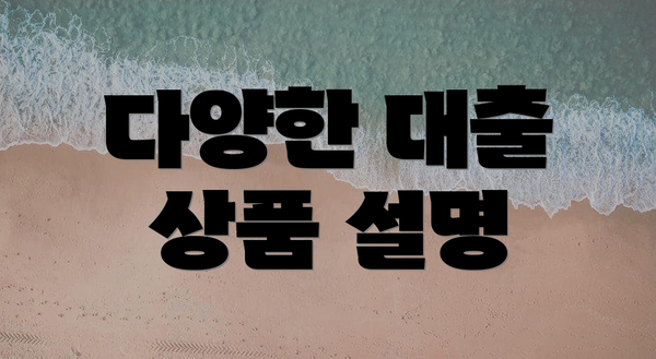 다양한 대출 상품 설명