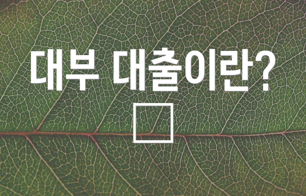 대부 대출이란? 🤔