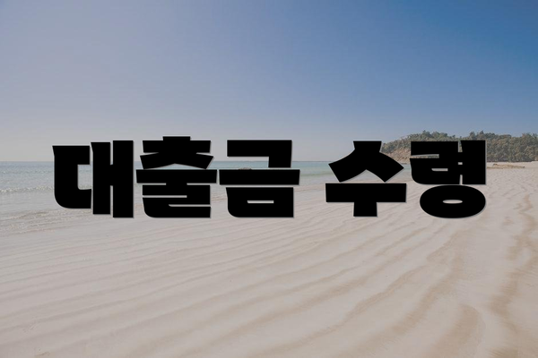 대출금 수령