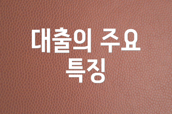 대출의 주요 특징