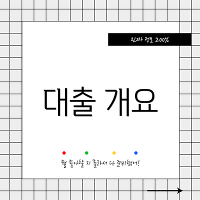 대출 개요