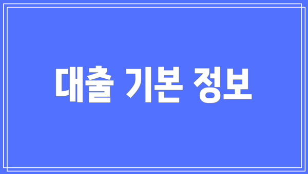 대출 기본 정보