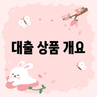 대출 상품 개요