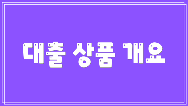 대출 상품 개요