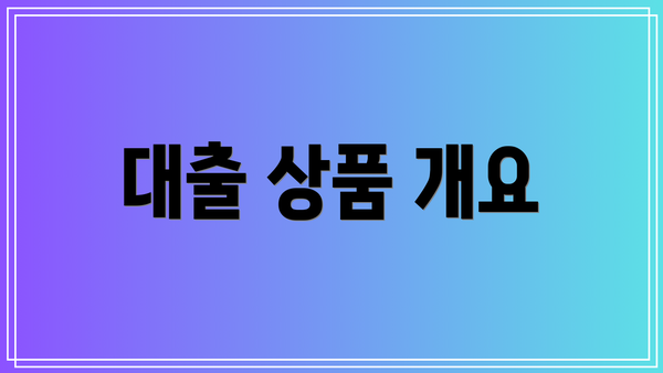 대출 상품 개요