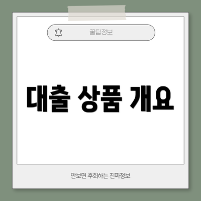 대출 상품 개요