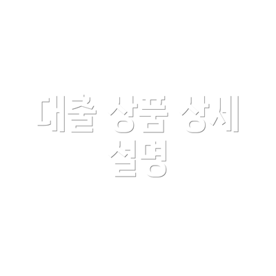 대출 상품 상세 설명