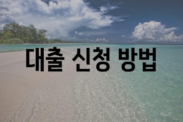 대출 신청 방법