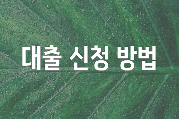 대출 신청 방법