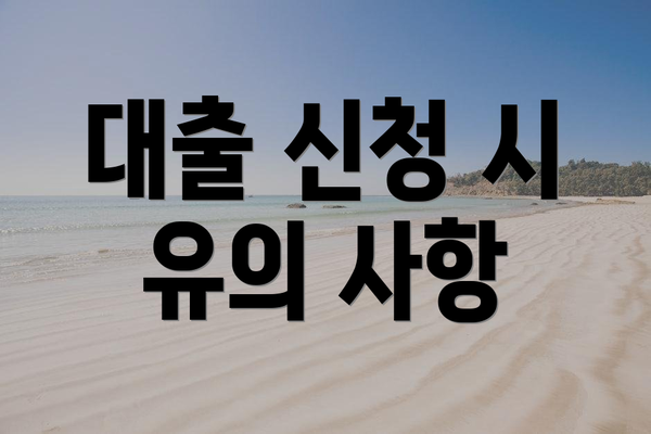 대출 신청 시 유의 사항