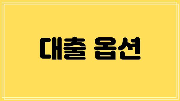 대출 옵션
