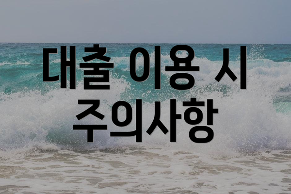 대출 이용 시 주의사항