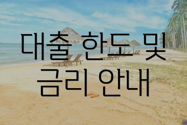 대출 한도 및 금리 안내