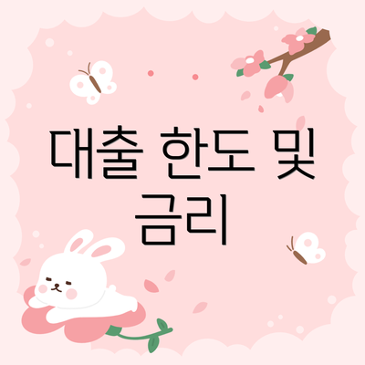 대출 한도 및 금리