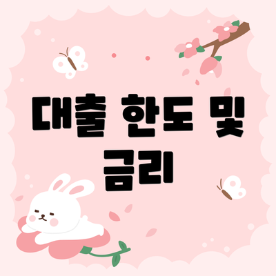 대출 한도 및 금리