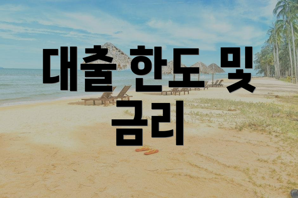 대출 한도 및 금리