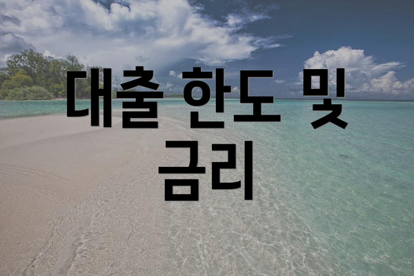 대출 한도 및 금리