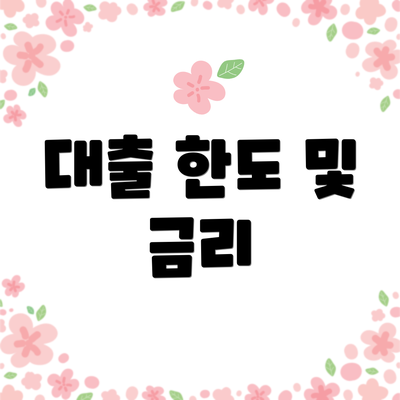 대출 한도 및 금리