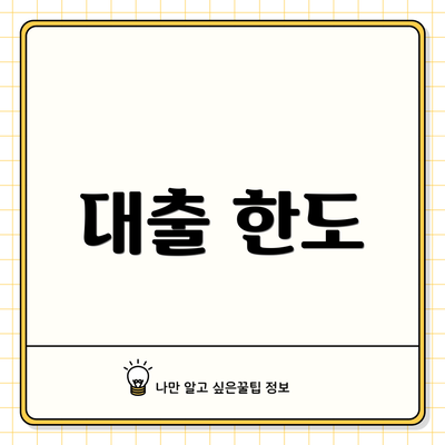 대출 한도