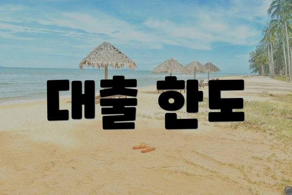대출 한도