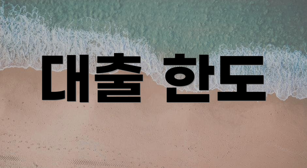 대출 한도