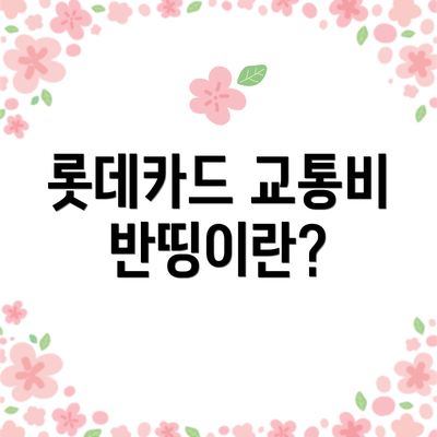 롯데카드 교통비 반띵이란?