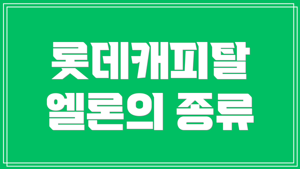롯데캐피탈 엘론의 종류
