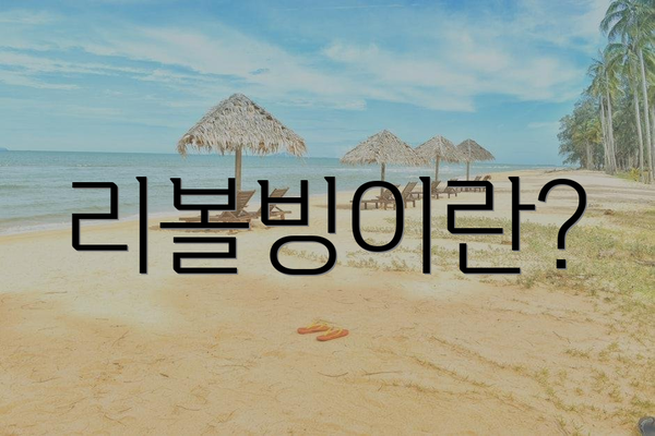 리볼빙이란?