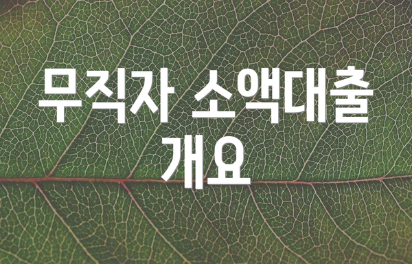 무직자 소액대출 개요