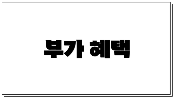 부가 혜택