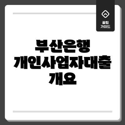 부산은행 개인사업자대출 개요