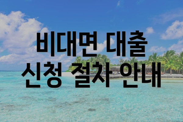 비대면 대출 신청 절차 안내