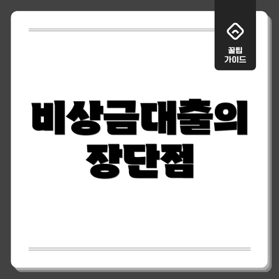 비상금대출의 장단점