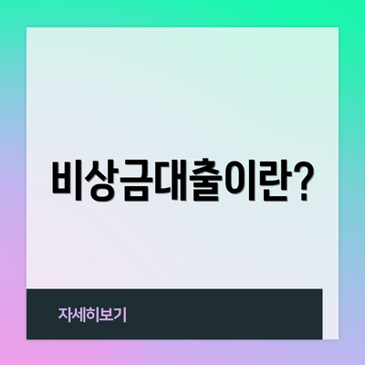 비상금대출이란?
