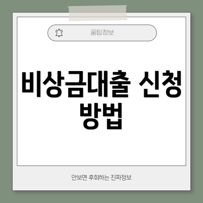 비상금대출 신청 방법