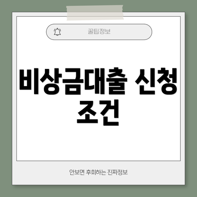 비상금대출 신청 조건
