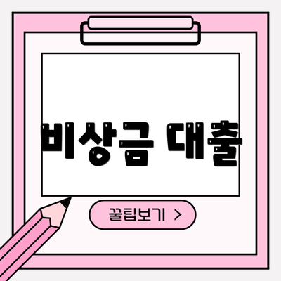 비상금 대출