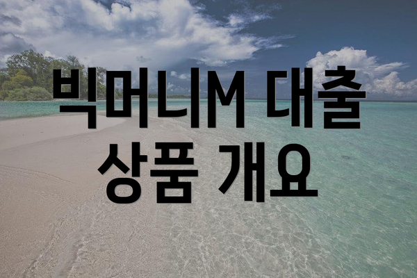 빅머니M 대출 상품 개요